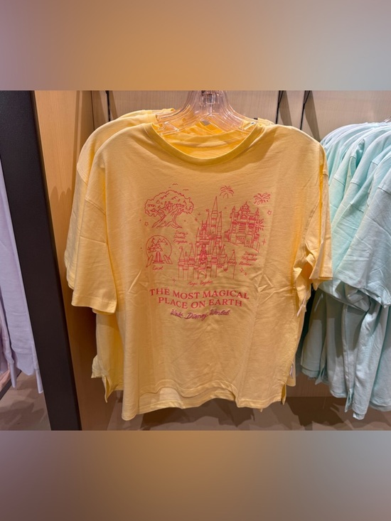 Disney Tops - Disney Parks Walt Disney World 4 park icon T shirt